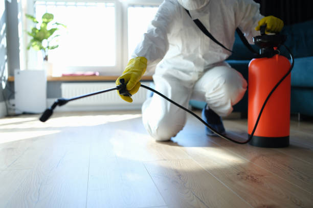Reliable Odor Removal contractor in Alvord, TX by Trauma Clean Pros